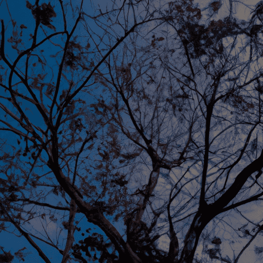 Panduan Lengkap Perawatan Ban Musim Hujan dan Kemarau